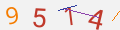 verifycode